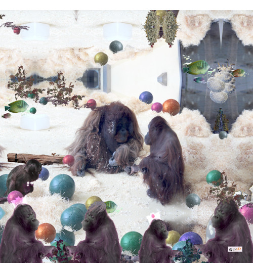 Zoo2_600